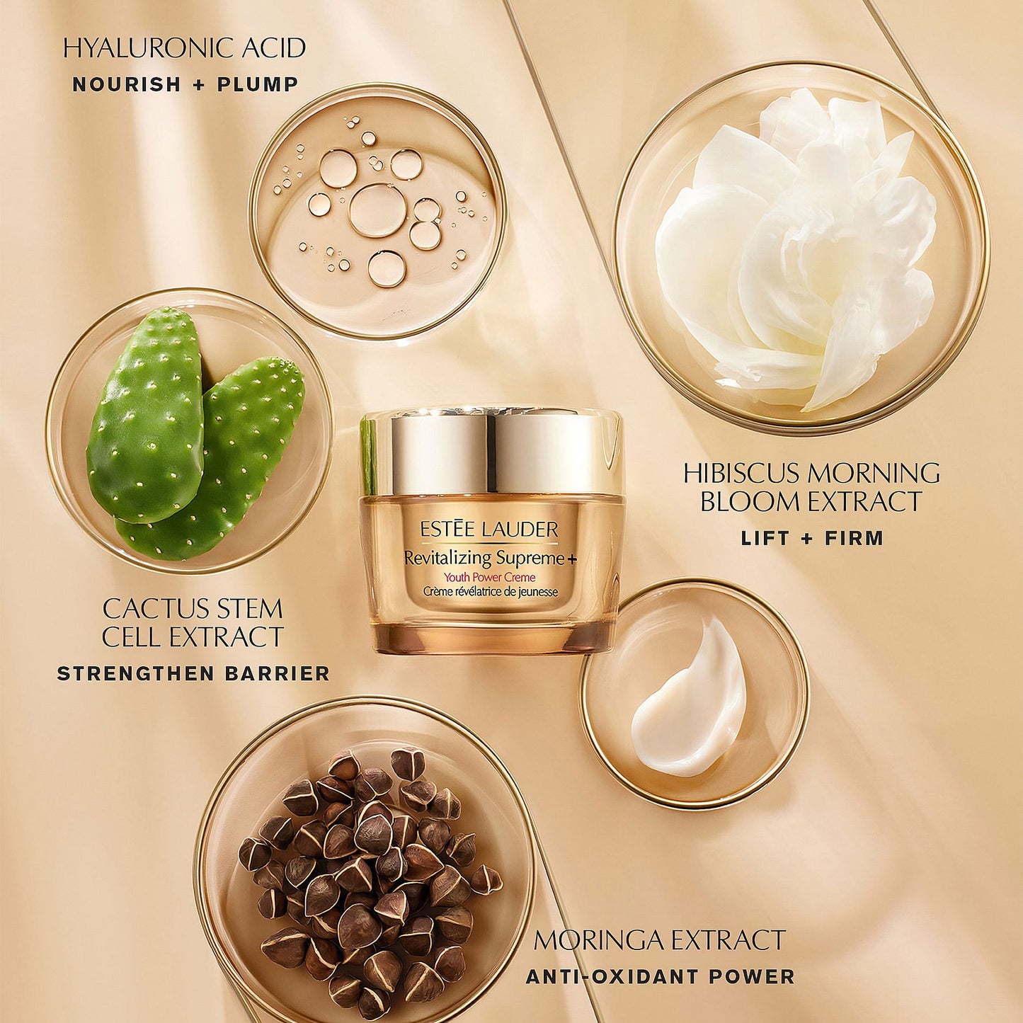 Estée Lauder Revitalizing Supreme+ Youth Power Creme 75ml - Avoriell